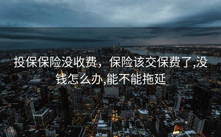 投保保险没收费，保险该交保费了,没钱怎么办,能不能拖延