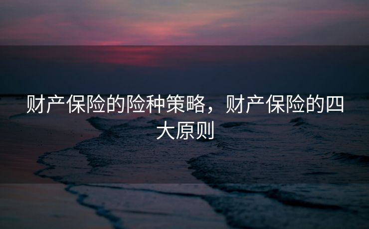 财产保险的险种策略，财产保险的四大原则