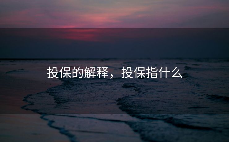 投保的解释，投保指什么