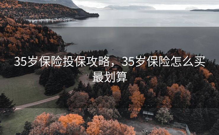 35岁保险投保攻略，35岁保险怎么买最划算