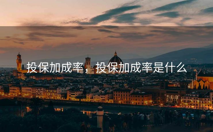 投保加成率，投保加成率是什么