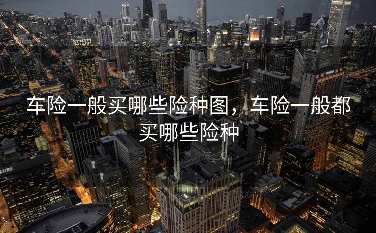 车险一般买哪些险种图，车险一般都买哪些险种