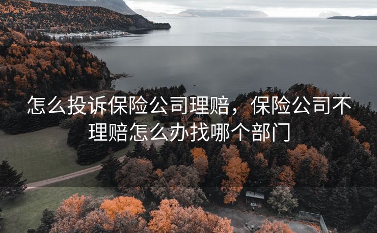 怎么投诉保险公司理赔，保险公司不理赔怎么办找哪个部门