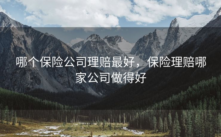 哪个保险公司理赔最好，保险理赔哪家公司做得好