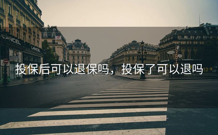 投保后可以退保吗，投保了可以退吗