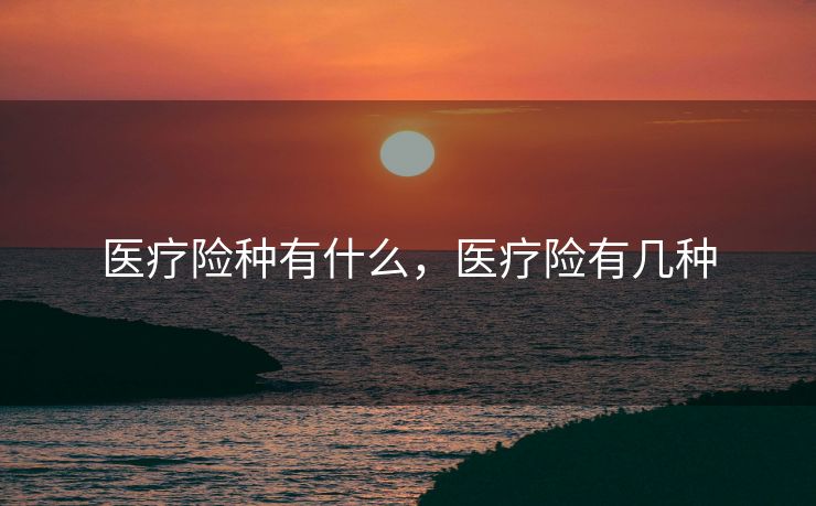 医疗险种有什么，医疗险有几种