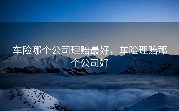 车险哪个公司理赔最好，车险理赔那个公司好