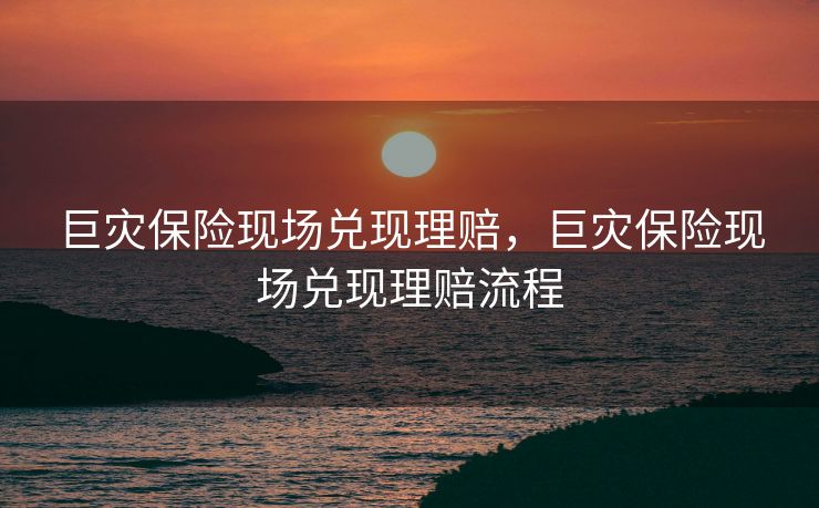 巨灾保险现场兑现理赔，巨灾保险现场兑现理赔流程