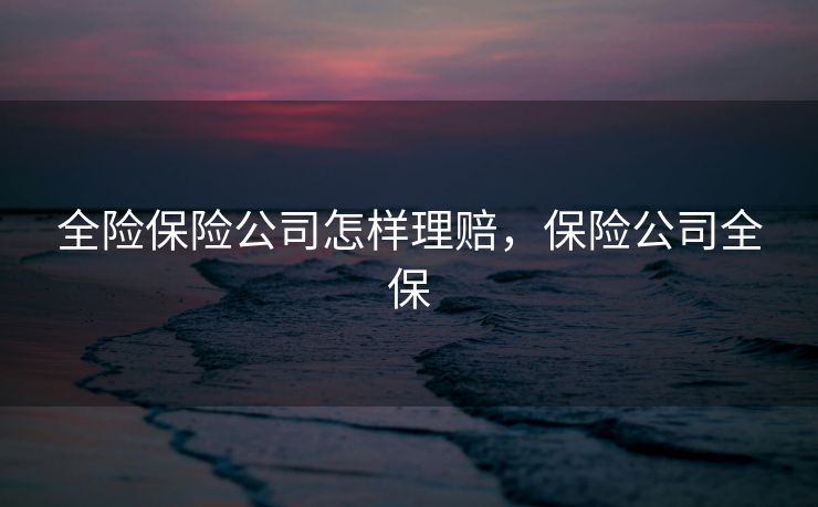 全险保险公司怎样理赔，保险公司全保