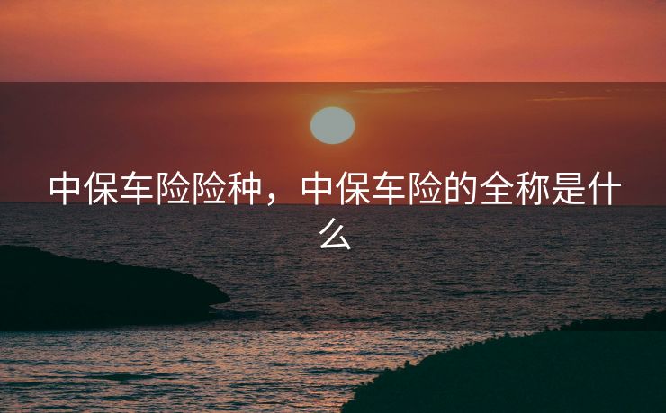 中保车险险种，中保车险的全称是什么