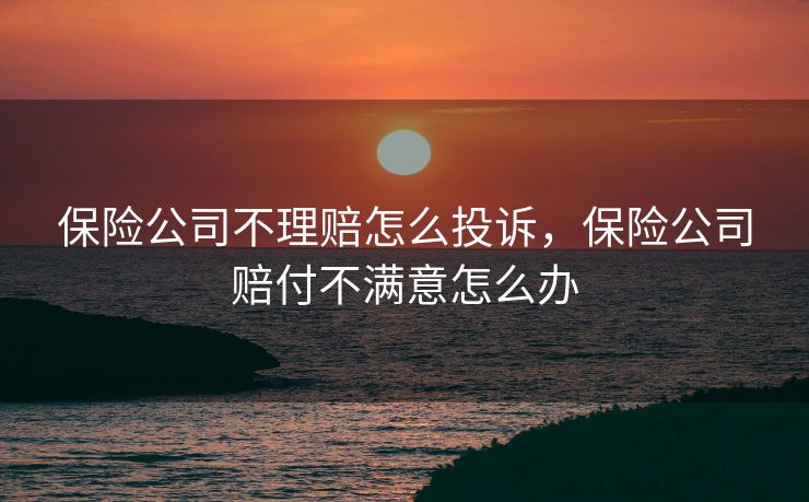 保险公司不理赔怎么投诉，保险公司赔付不满意怎么办
