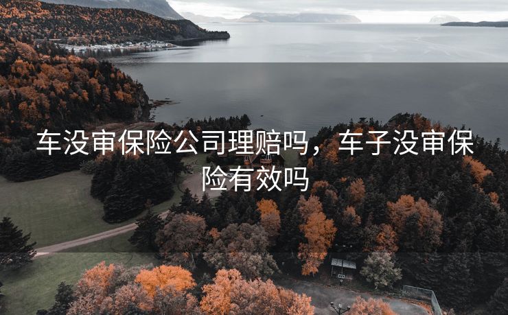 车没审保险公司理赔吗，车子没审保险有效吗
