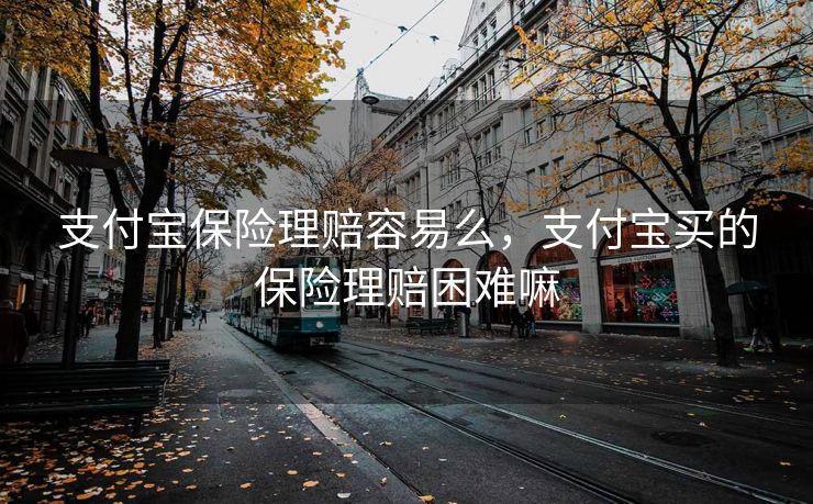 支付宝保险理赔容易么，支付宝买的保险理赔困难嘛