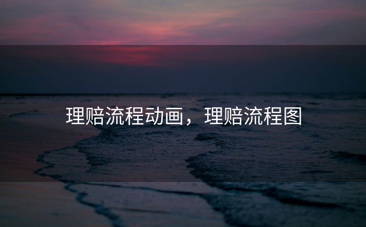 理赔流程动画，理赔流程图