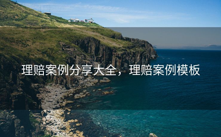 理赔案例分享大全，理赔案例模板
