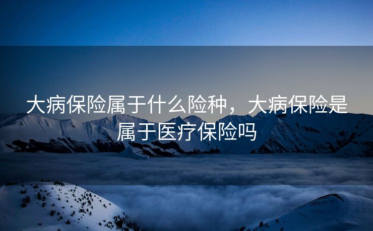 大病保险属于什么险种，大病保险是属于医疗保险吗