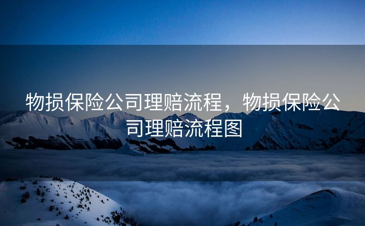 物损保险公司理赔流程，物损保险公司理赔流程图