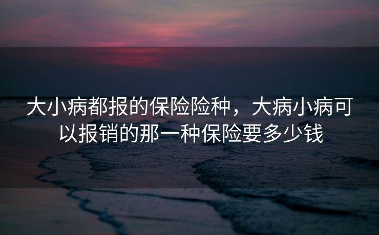 大小病都报的保险险种,大病小病可以报销的那一种保险要多少钱 大小病都报的保险险种,大病小病可以报销的那一种保险要多少钱