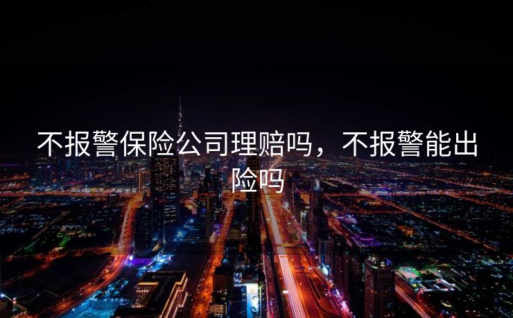 不报警保险公司理赔吗，不报警能出险吗