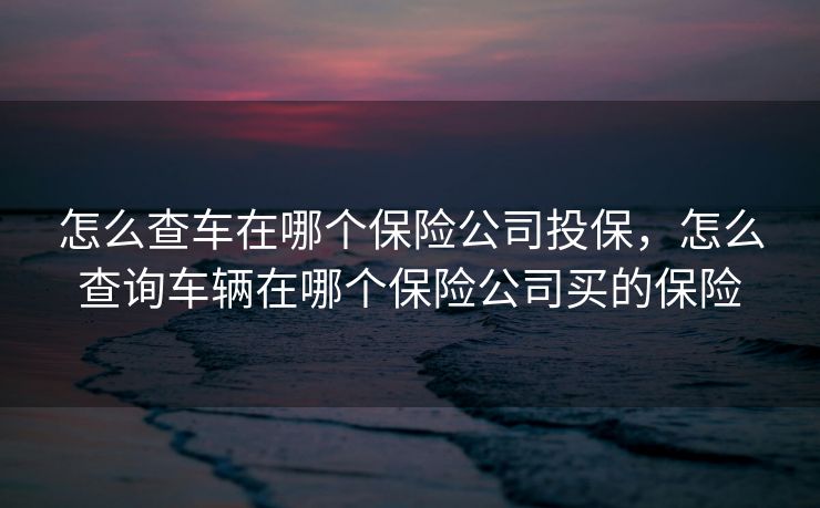怎么查车在哪个保险公司投保，怎么查询车辆在哪个保险公司买的保险