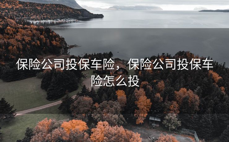 保险公司投保车险，保险公司投保车险怎么投