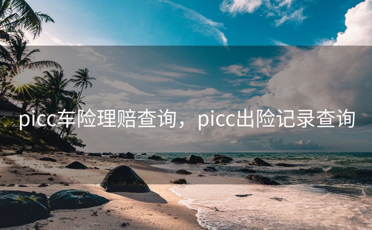 picc车险理赔查询，picc出险记录查询