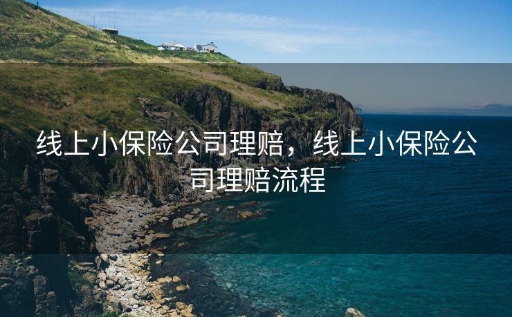 线上小保险公司理赔，线上小保险公司理赔流程