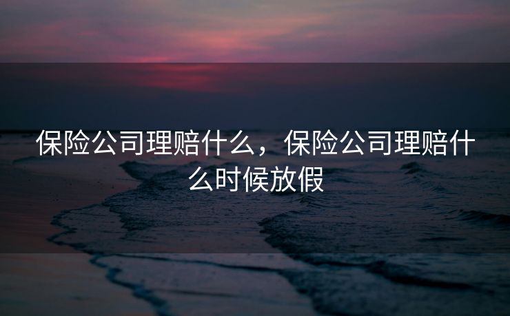 保险公司理赔什么，保险公司理赔什么时候放假