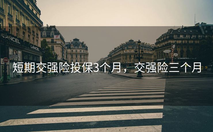 短期交强险投保3个月,交强险三个月 短期交强险投保3个月,交强险三个月