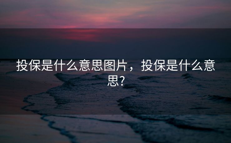 投保是什么意思图片，投保是什么意思?