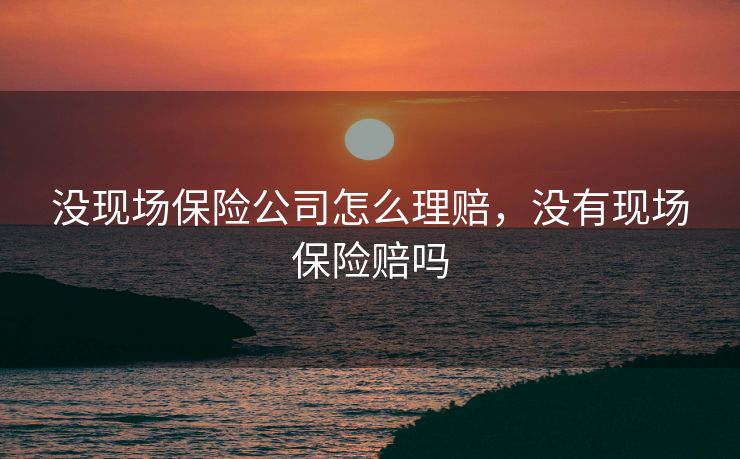 没现场保险公司怎么理赔，没有现场保险赔吗