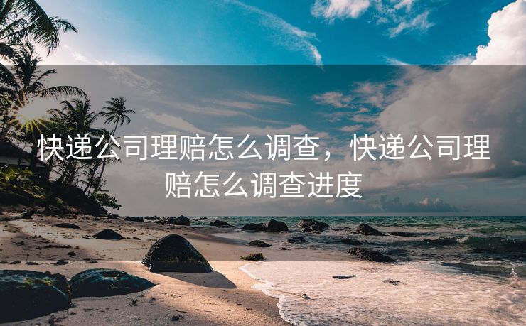 快递公司理赔怎么调查，快递公司理赔怎么调查进度
