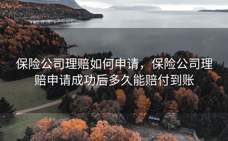 保险公司理赔如何申请，保险公司理赔申请成功后多久能赔付到账