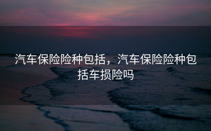 汽车保险险种包括，汽车保险险种包括车损险吗