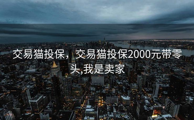 交易猫投保，交易猫投保2000元带零头,我是卖家