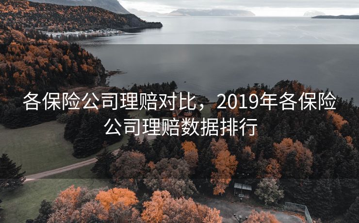 各保险公司理赔对比，2019年各保险公司理赔数据排行