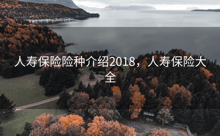 人寿保险险种介绍2018，人寿保险大全