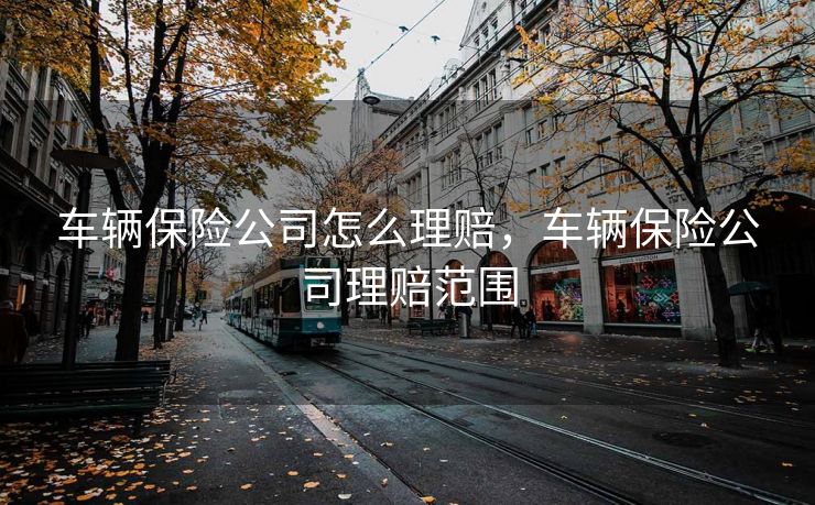 车辆保险公司怎么理赔，车辆保险公司理赔范围