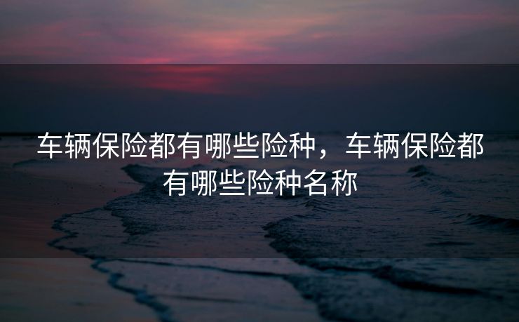车辆保险都有哪些险种，车辆保险都有哪些险种名称