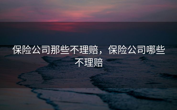 保险公司那些不理赔，保险公司哪些不理赔