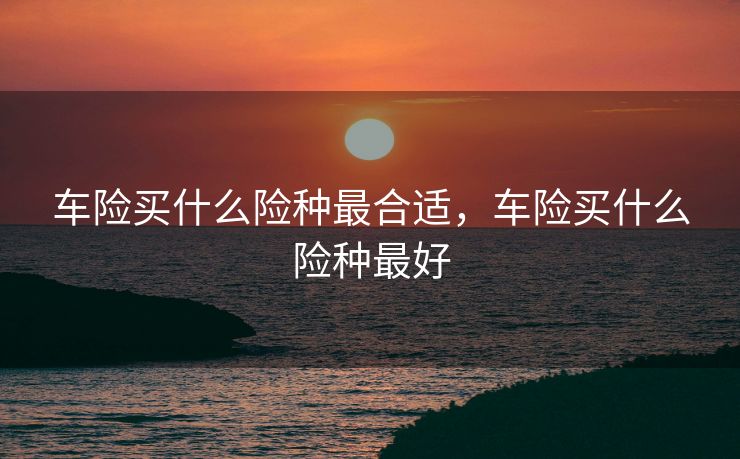 车险买什么险种最合适，车险买什么险种最好