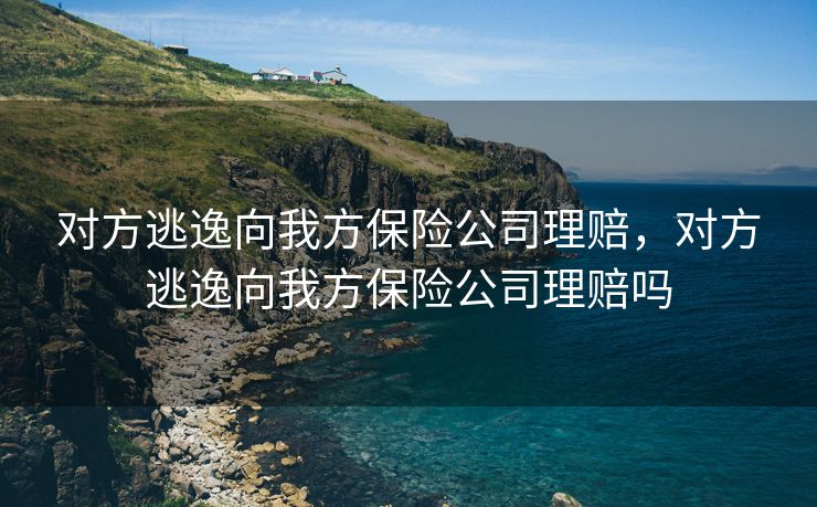 对方逃逸向我方保险公司理赔，对方逃逸向我方保险公司理赔吗