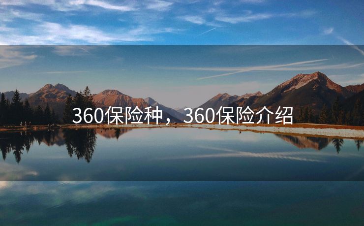 360保险种，360保险介绍