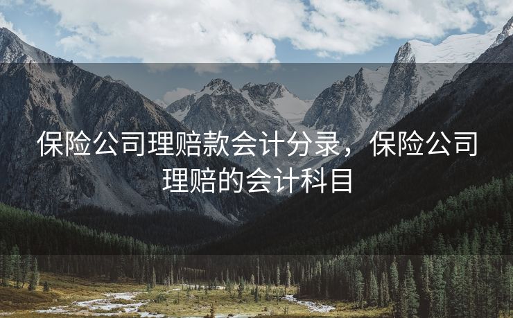 保险公司理赔款会计分录，保险公司理赔的会计科目