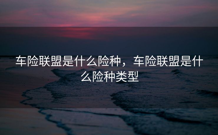 车险联盟是什么险种，车险联盟是什么险种类型