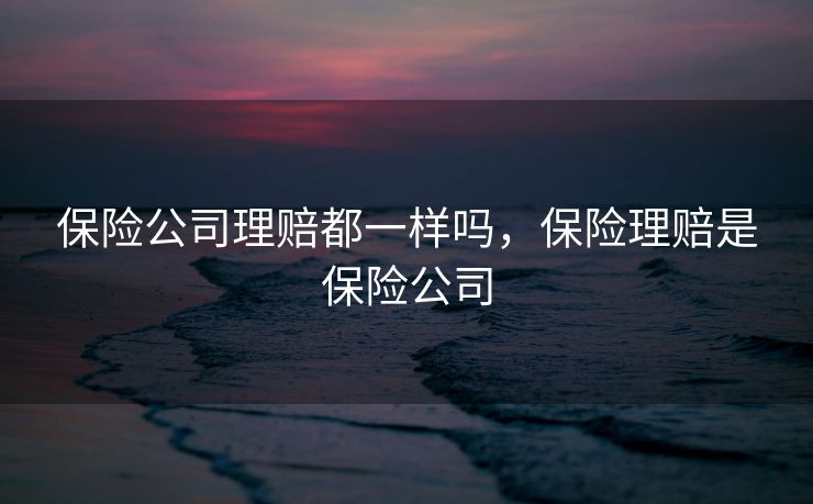 保险公司理赔都一样吗,保险理赔是保险公司 保险公司理赔都一样吗,保险理赔是保险公司