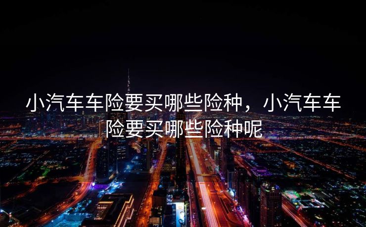 小汽车车险要买哪些险种，小汽车车险要买哪些险种呢