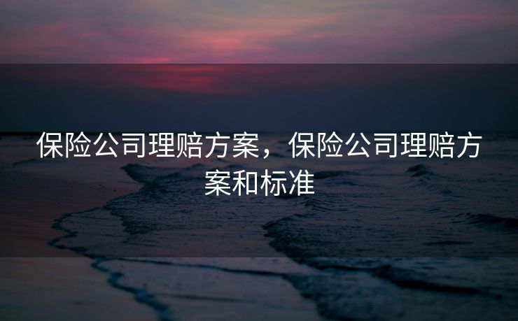保险公司理赔方案，保险公司理赔方案和标准