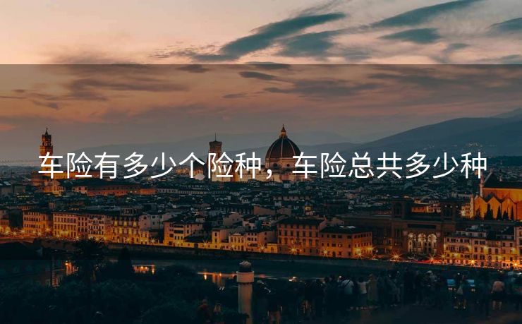 车险有多少个险种，车险总共多少种