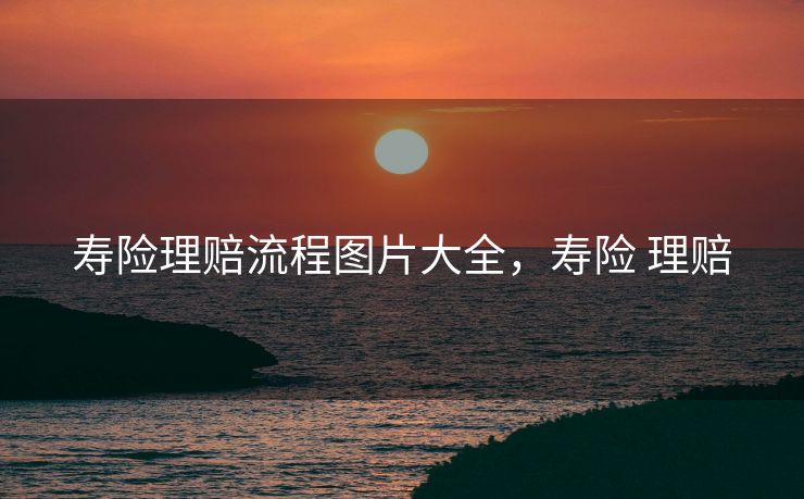 寿险理赔流程图片大全，寿险 理赔